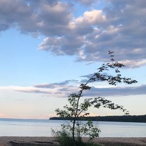 Meet your Posher, Billal